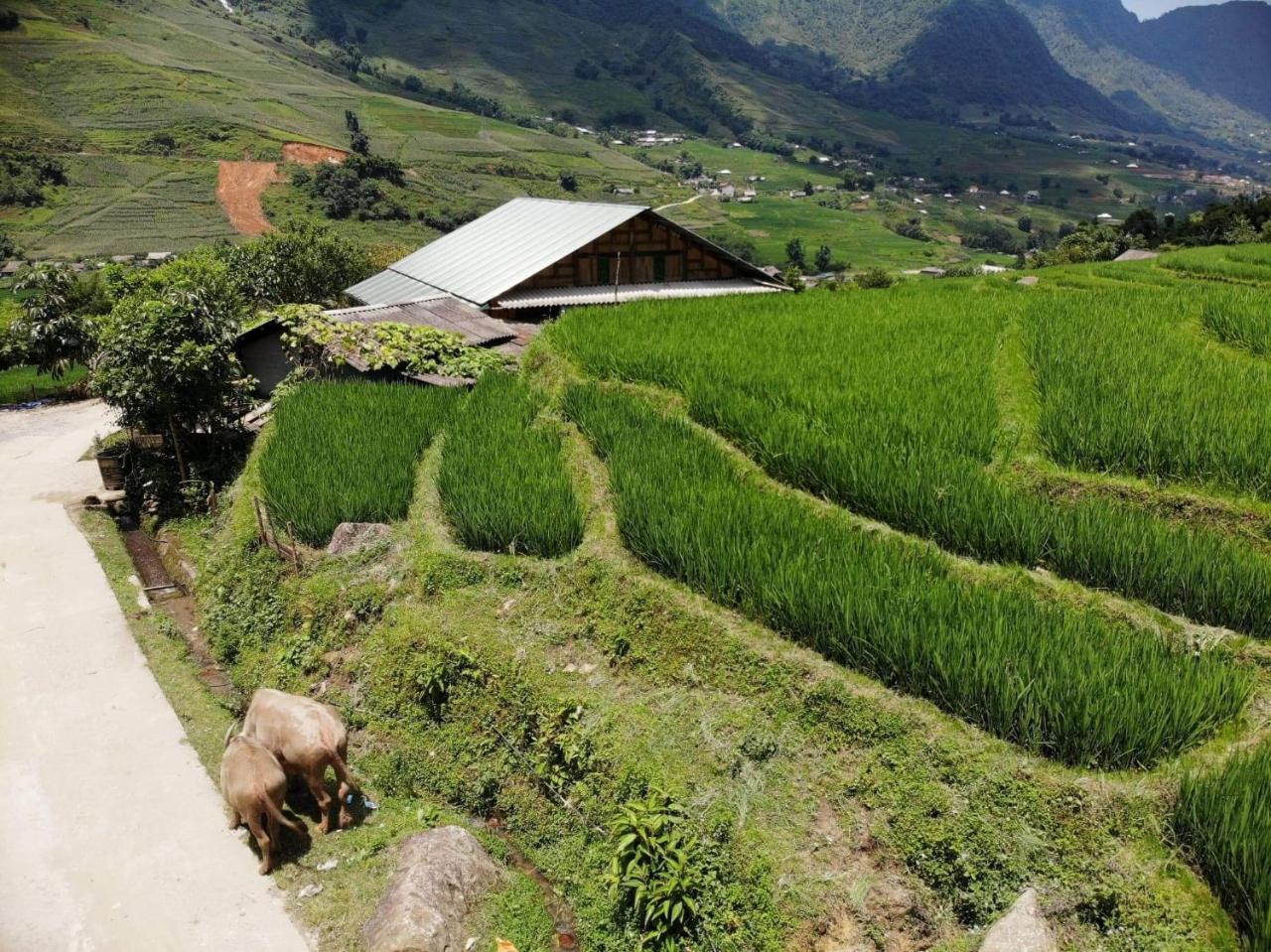 Ta Van Green Hills Homestay 사파 외부 사진