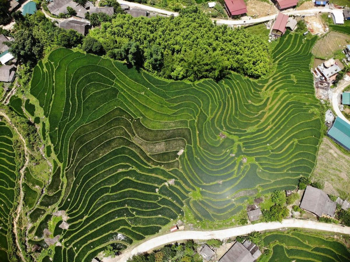 Ta Van Green Hills Homestay 사파 외부 사진